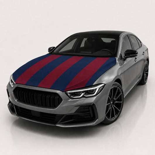 FC Barcelona — user supplied studio hood cover
