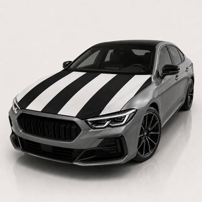 Besiktas — user supplied studio hood cover