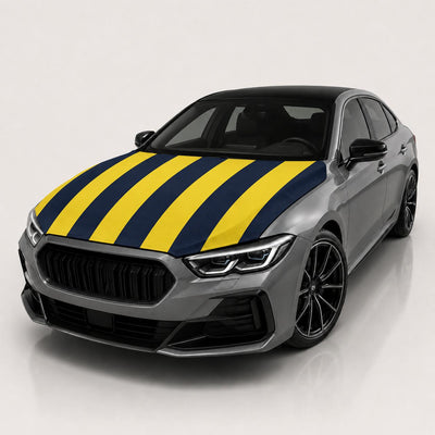 Fenerbahce — user supplied studio hood cover